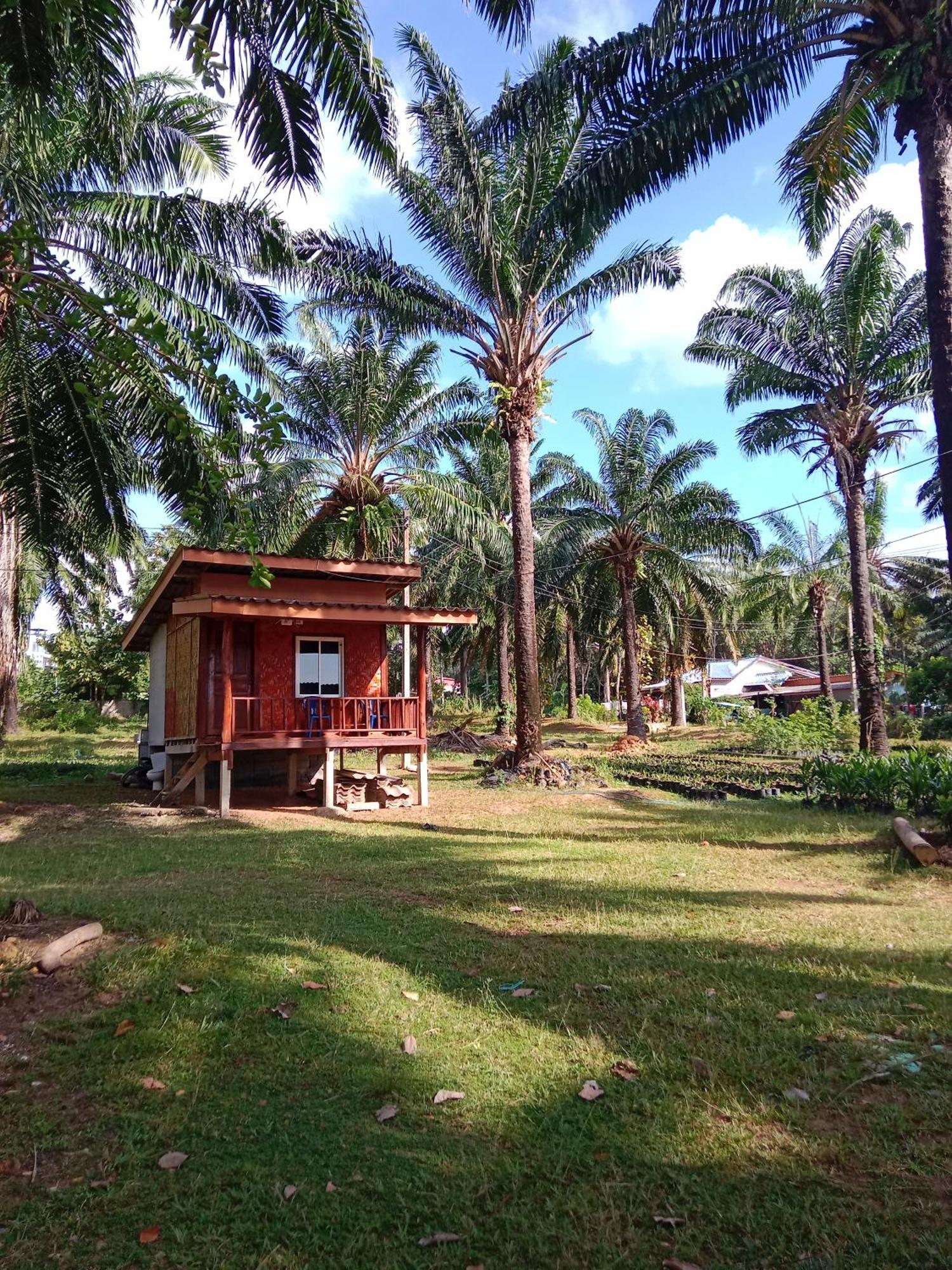 Som Palmgarden Hotell Ko Lanta Eksteriør bilde
