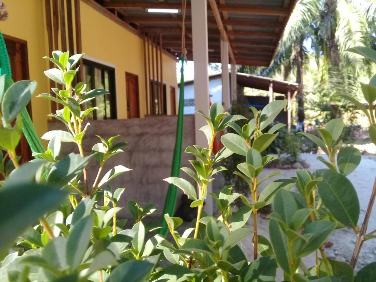 Som Palmgarden Hotell Ko Lanta Eksteriør bilde