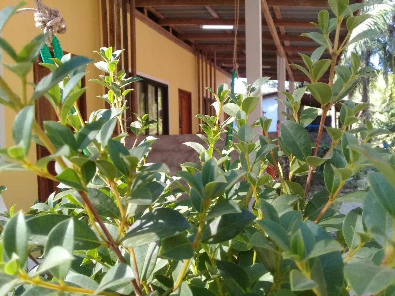 Som Palmgarden Hotell Ko Lanta Eksteriør bilde